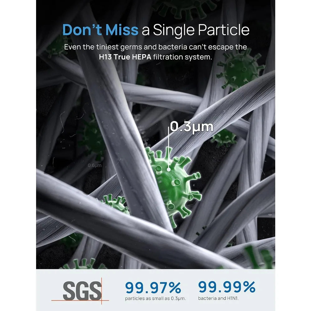 Dreo Air Purifier - ScalpX