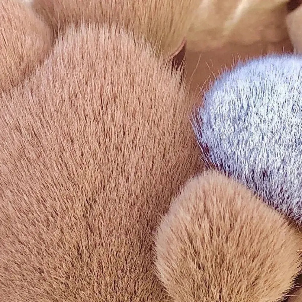 Makeup Brushes Set - ScalpX